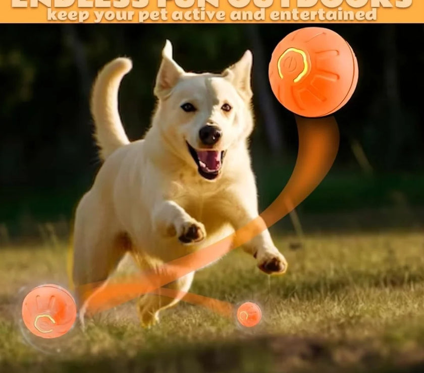 Pet Toys Gravity Electric Amusement Pet Ball Smart Bouncing Ball for Dogs and Cats