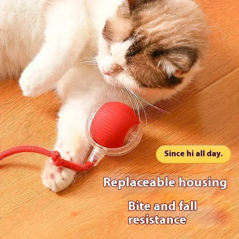 Cat Interactive Ball Toy Automatic Rolling Ball Faux Tail Rechargeable Smart Pet Electric Toy Dog Cat Training Imitate Mouse