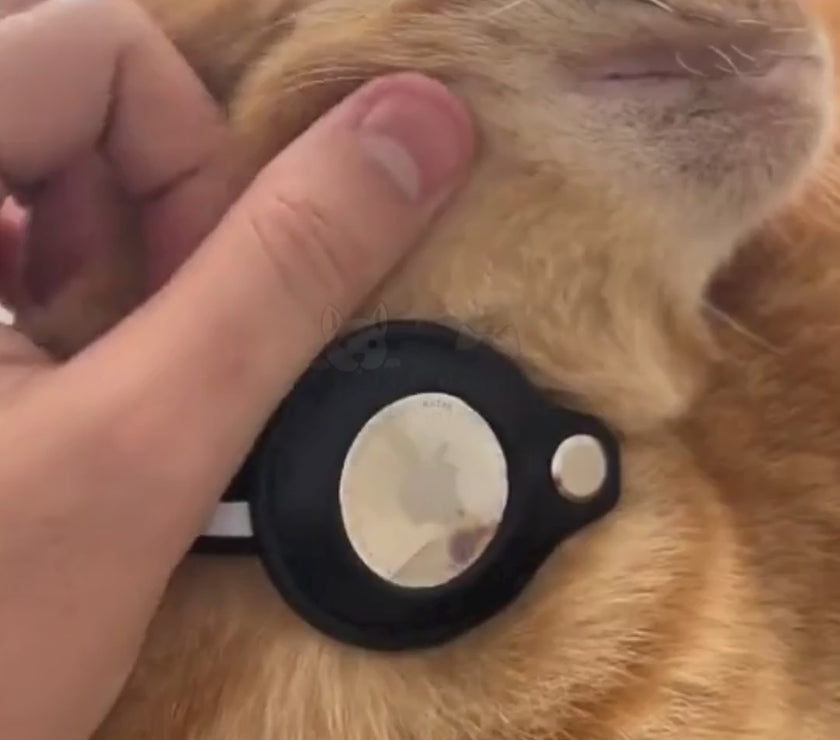 Airtag Pet Collar