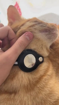 Airtag Pet Collar